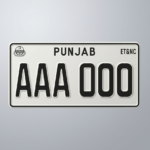 PUNJAB NUMBER PLATE PAIR